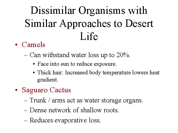 Dissimilar Organisms with Similar Approaches to Desert Life • Camels – Can withstand water