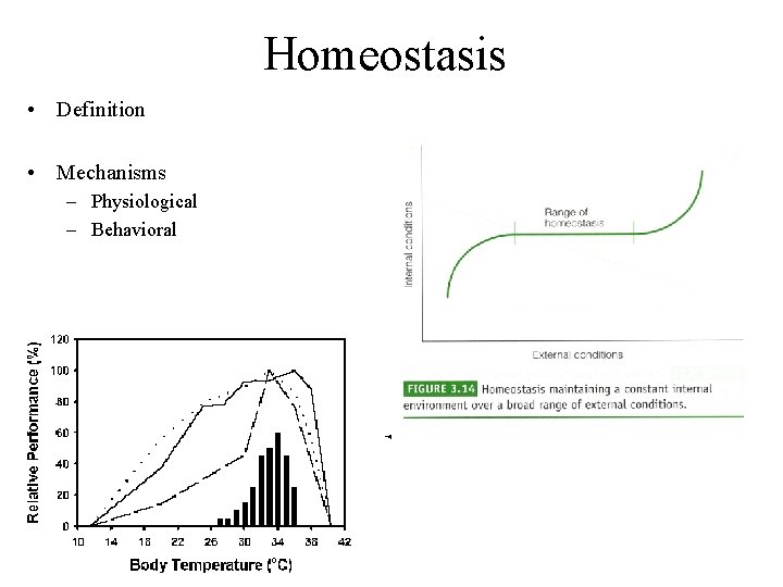 Homeostasis • Definition • Mechanisms – Physiological – Behavioral 