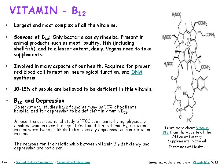 VITAMIN - B 12 • Largest and most complex of all the vitamins. •