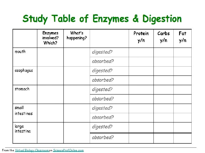 From the Virtual Biology Classroom on Science. Prof. Online. com 