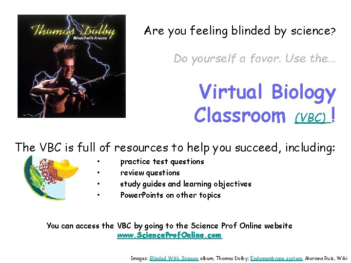 Are you feeling blinded by science? Do yourself a favor. Use the… Virtual Biology