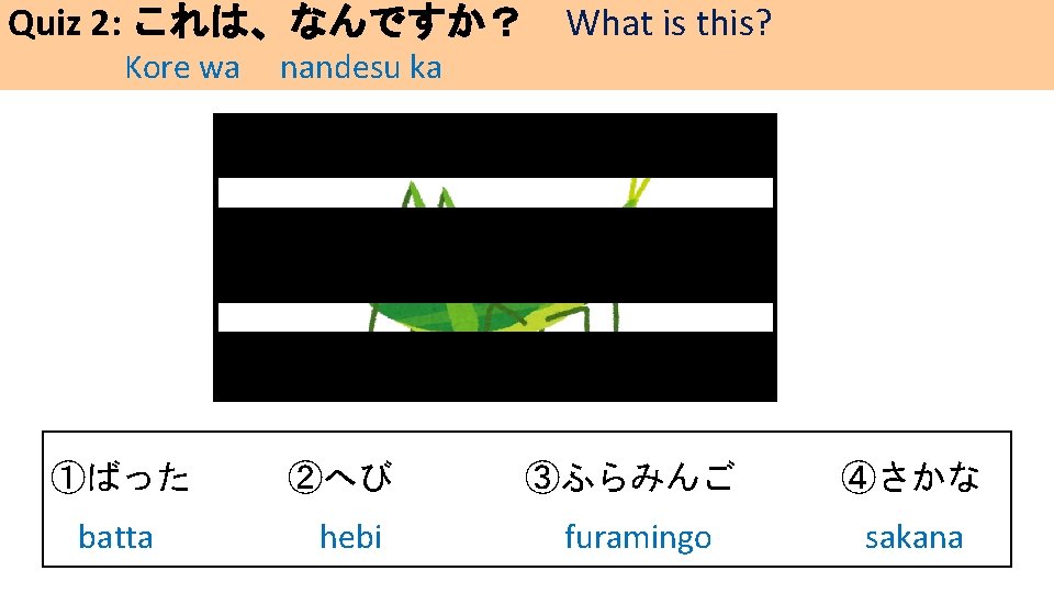 Quiz 2: これは、なんですか？ What is this? Kore wa nandesu ka ①ばった ②へび ③ふらみんご ④さかな