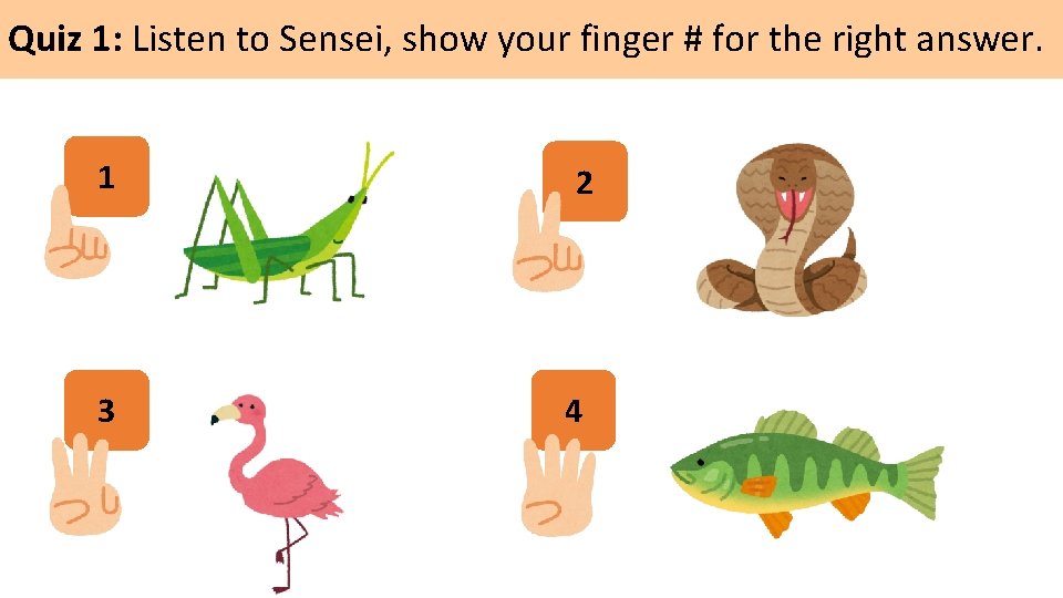 Quiz 1: Listen to Sensei, show your finger # for the right answer. 1