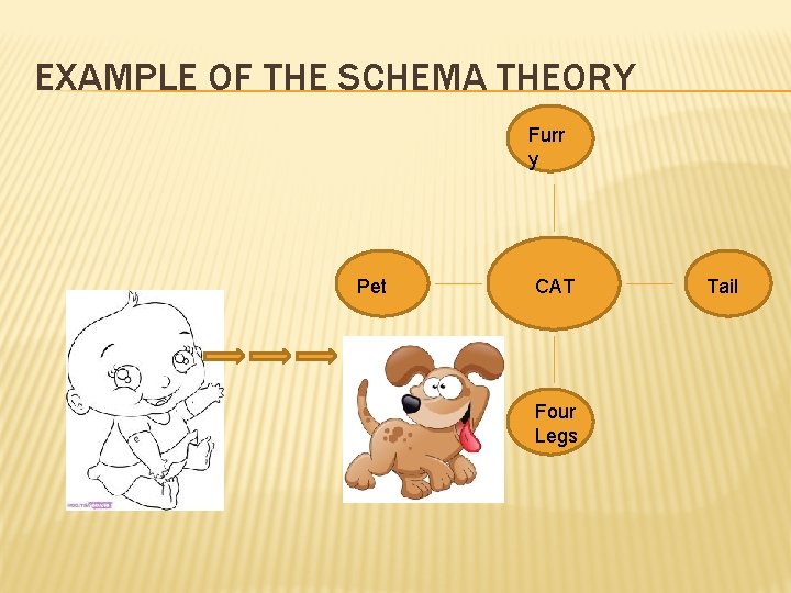 EXAMPLE OF THE SCHEMA THEORY Furr y Pet CAT Four Legs Tail 