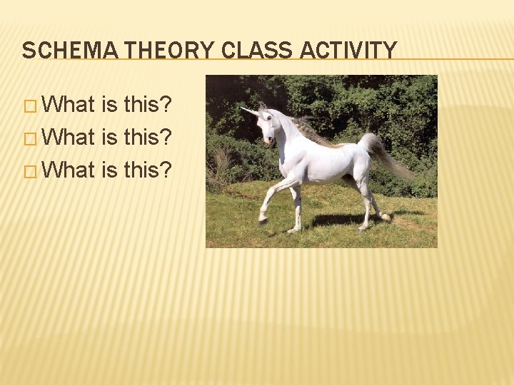 SCHEMA THEORY CLASS ACTIVITY � What is this? 