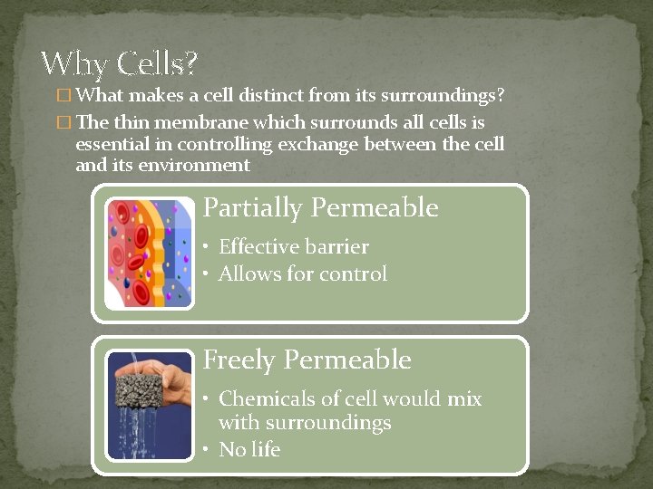 Why Cells? � What makes a cell distinct from its surroundings? � The thin
