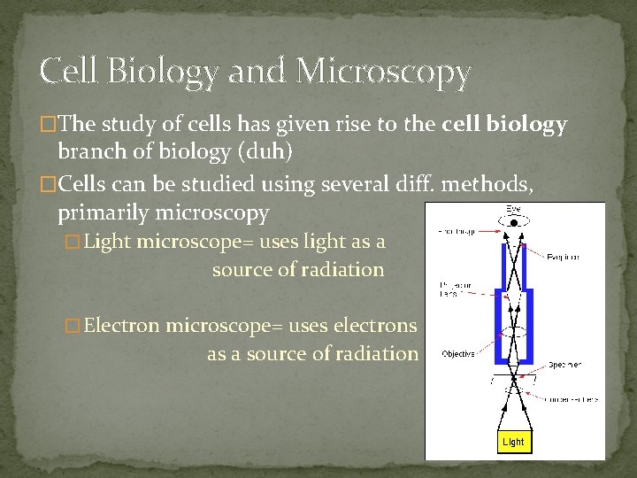 Cell Biology and Microscopy �The study of cells has given rise to the cell