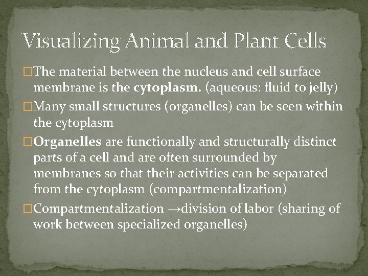 Visualizing Animal and Plant Cells �The material between the nucleus and cell surface membrane