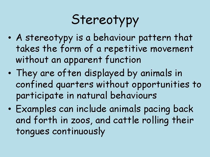 Stereotypy • A stereotypy is a behaviour pattern that takes the form of a