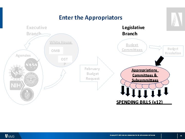 Enter the Appropriators Executive Branch Legislative Branch White House Agencies Budget Committees OMB OST