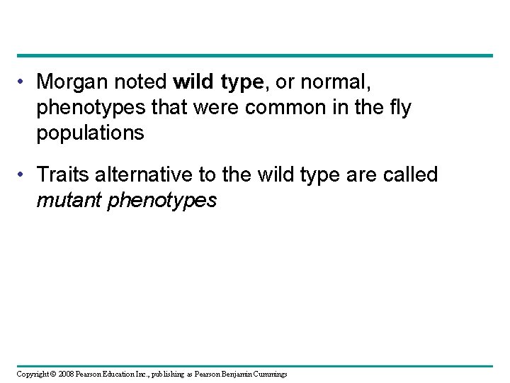  • Morgan noted wild type, or normal, phenotypes that were common in the