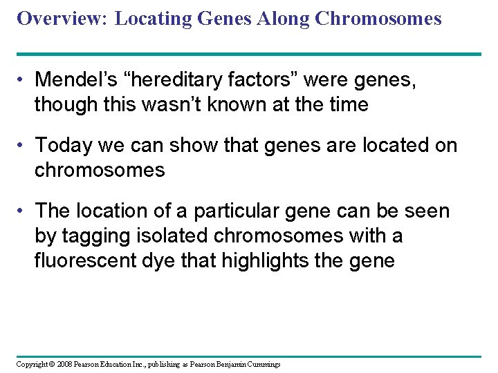 Overview: Locating Genes Along Chromosomes • Mendel’s “hereditary factors” were genes, though this wasn’t
