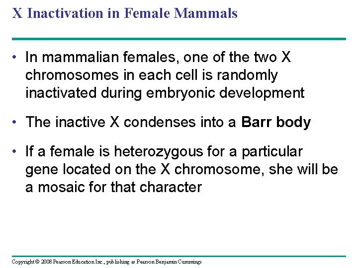 X Inactivation in Female Mammals • In mammalian females, one of the two X