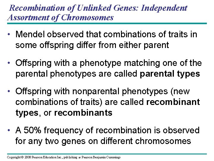 Recombination of Unlinked Genes: Independent Assortment of Chromosomes • Mendel observed that combinations of