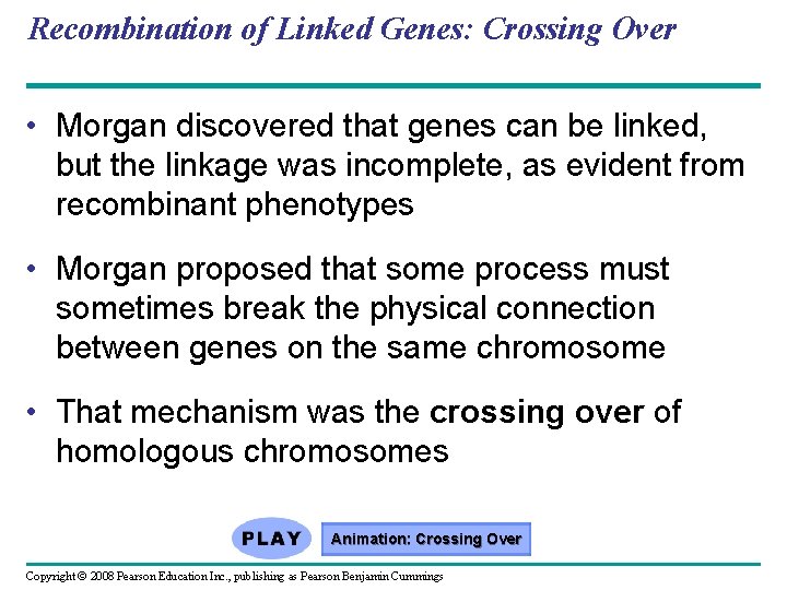 Recombination of Linked Genes: Crossing Over • Morgan discovered that genes can be linked,