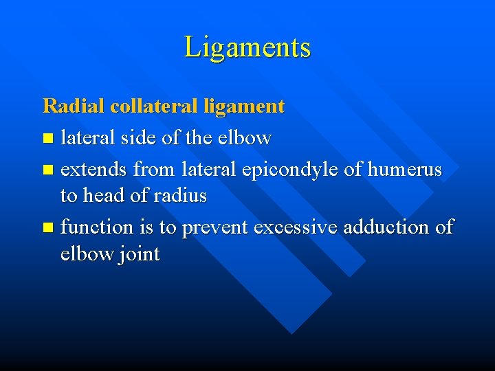 Ligaments Radial collateral ligament n lateral side of the elbow n extends from lateral