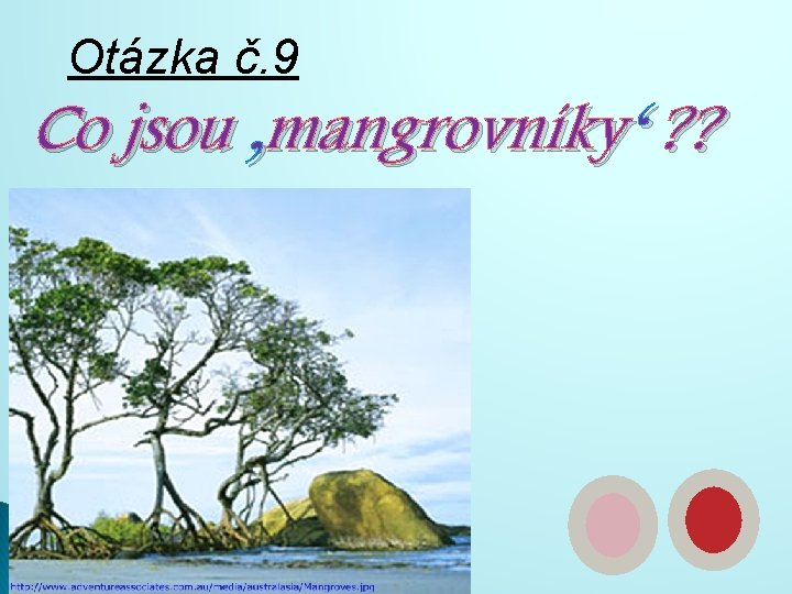 Otázka č. 9 Co jsou ‚mangrovníky‘ ? ? 