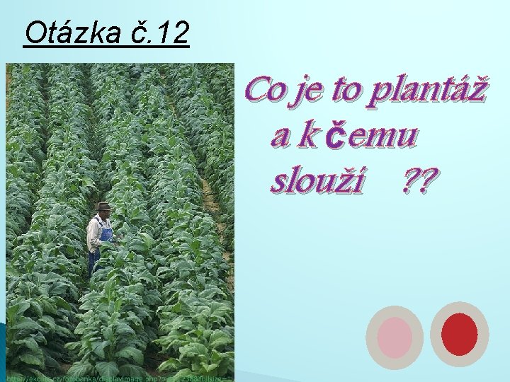 Otázka č. 12 Co je to plantáž a k čemu slouží ? ? 