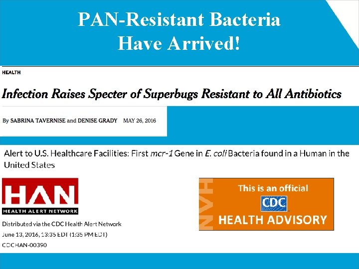 The Role of the Antimicrobial Stewardship In the