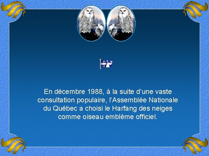 En décembre 1988, à la suite d’une vaste consultation populaire, l’Assemblée Nationale du Québec