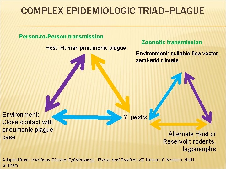 COMPLEX EPIDEMIOLOGIC TRIAD--PLAGUE Person-to-Person transmission Host: Human pneumonic plague Environment: Close contact with pneumonic