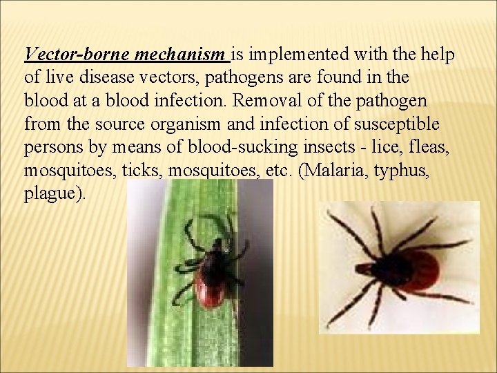 Vector-borne mechanism is implemented with the help of live disease vectors, pathogens are found