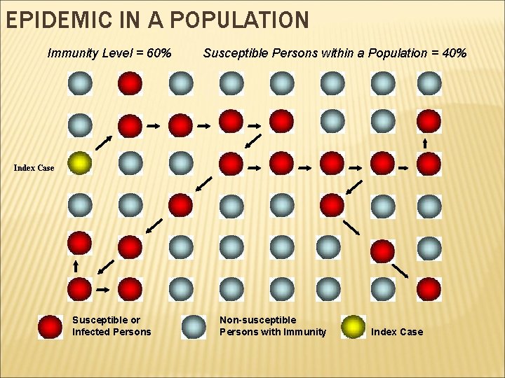 EPIDEMIC IN A POPULATION Immunity Level = 60% Susceptible Persons within a Population =