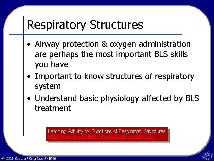 Respiratory Structures • Airway protection & oxygen administration are perhaps the most important BLS