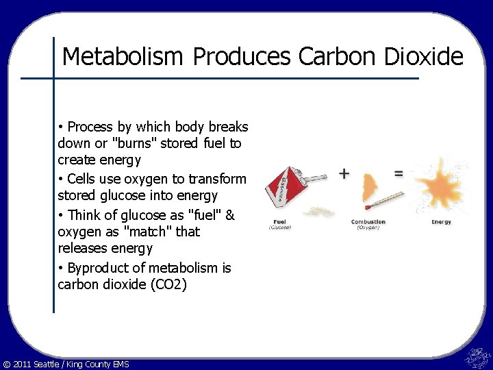 Metabolism Produces Carbon Dioxide • Process by which body breaks down or "burns" stored