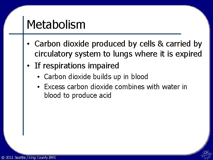 Metabolism • Carbon dioxide produced by cells & carried by circulatory system to lungs