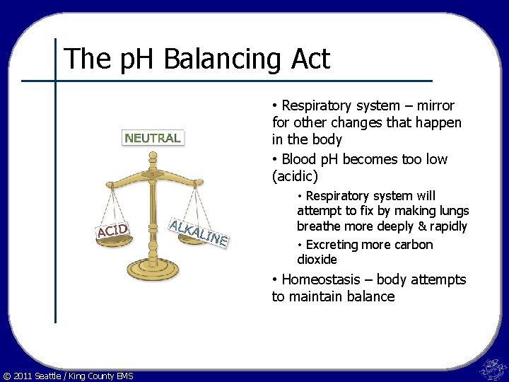 The p. H Balancing Act • Respiratory system – mirror for other changes that