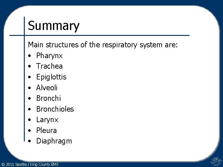 Summary Main structures of the respiratory system are: • Pharynx • Trachea • Epiglottis