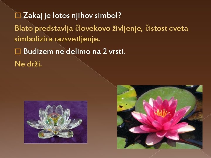 � Zakaj je lotos njihov simbol? Blato predstavlja človekovo življenje, čistost cveta simbolizira razsvetljenje.