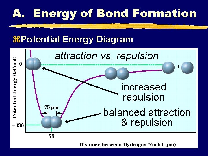 A. Energy of Bond Formation z. Potential Energy Diagram attraction vs. repulsion increased repulsion