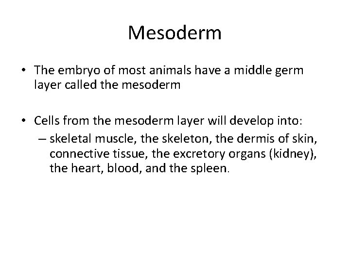 Mesoderm • The embryo of most animals have a middle germ layer called the