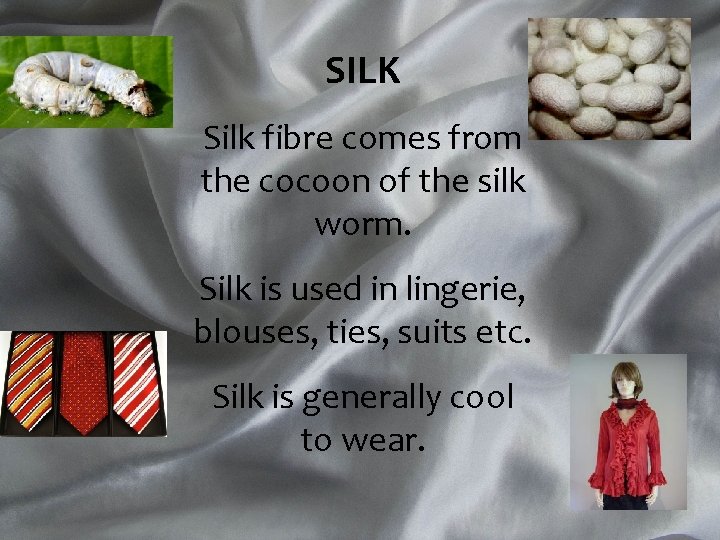 SILK Silk fibre comes from the cocoon of the silk worm. Silk is used