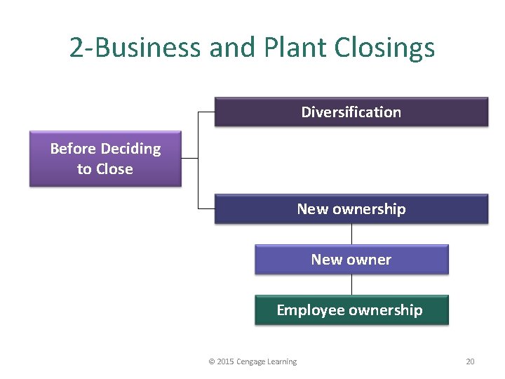 2 -Business and Plant Closings Diversification Before Deciding to Close New ownership New owner