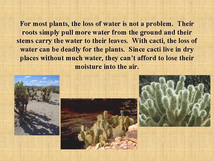For most plants, the loss of water is not a problem. Their roots simply