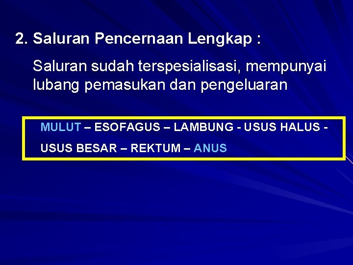 2. Saluran Pencernaan Lengkap : Saluran sudah terspesialisasi, mempunyai lubang pemasukan dan pengeluaran MULUT