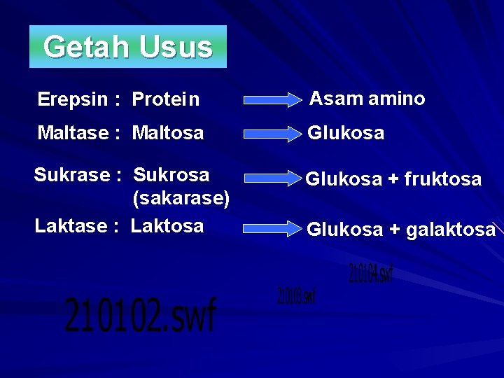 Getah Usus Erepsin : Protein Asam amino Maltase : Maltosa Glukosa Sukrase : Sukrosa