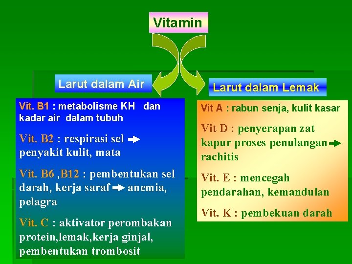Vitamin Larut dalam Air Vit. B 1 : metabolisme KH dan kadar air dalam