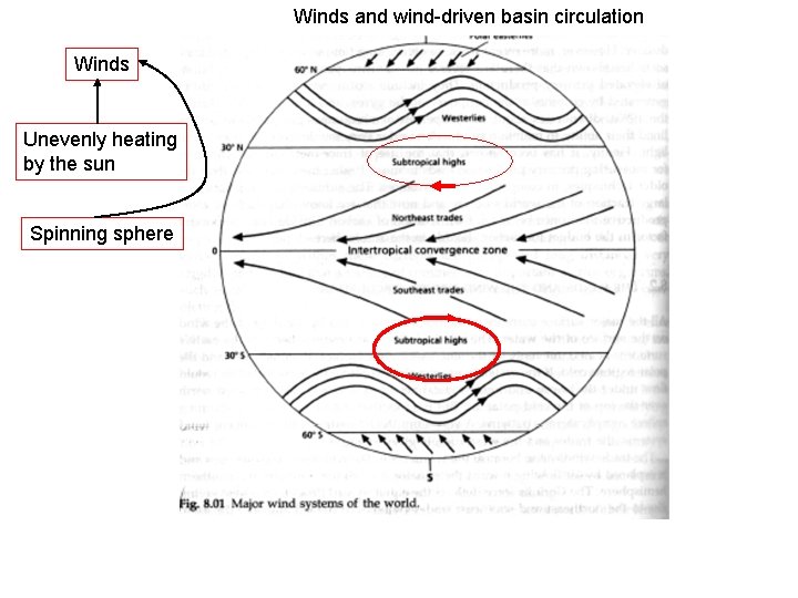 Winds and wind-driven basin circulation Winds Unevenly heating by the sun Spinning sphere 