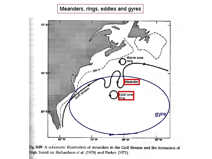 Meanders, rings, eddies and gyres gyre 