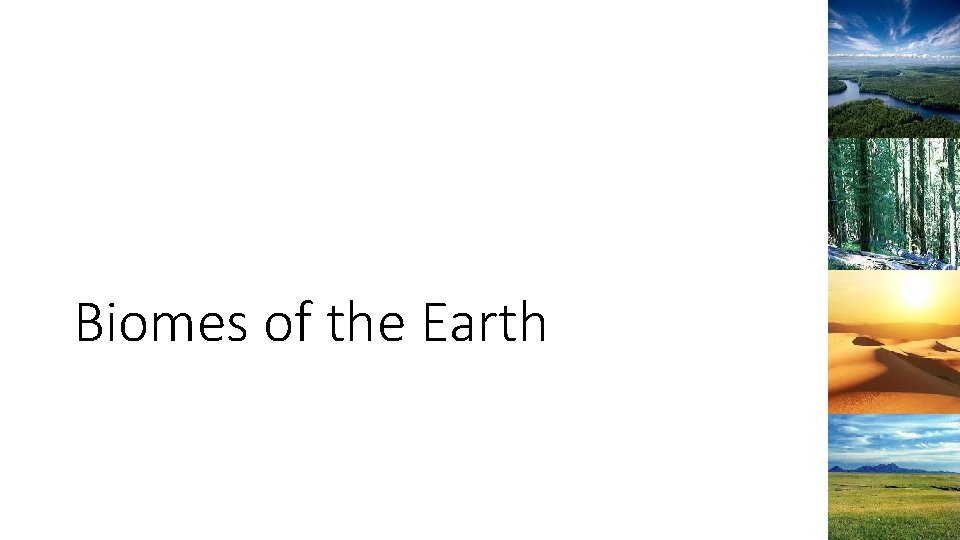 Biomes of the Earth 