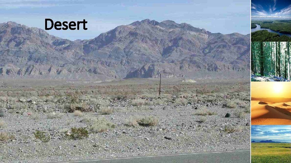 Desert 
