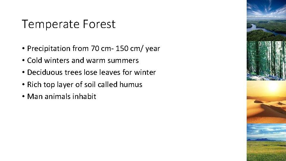 Temperate Forest • Precipitation from 70 cm- 150 cm/ year • Cold winters and