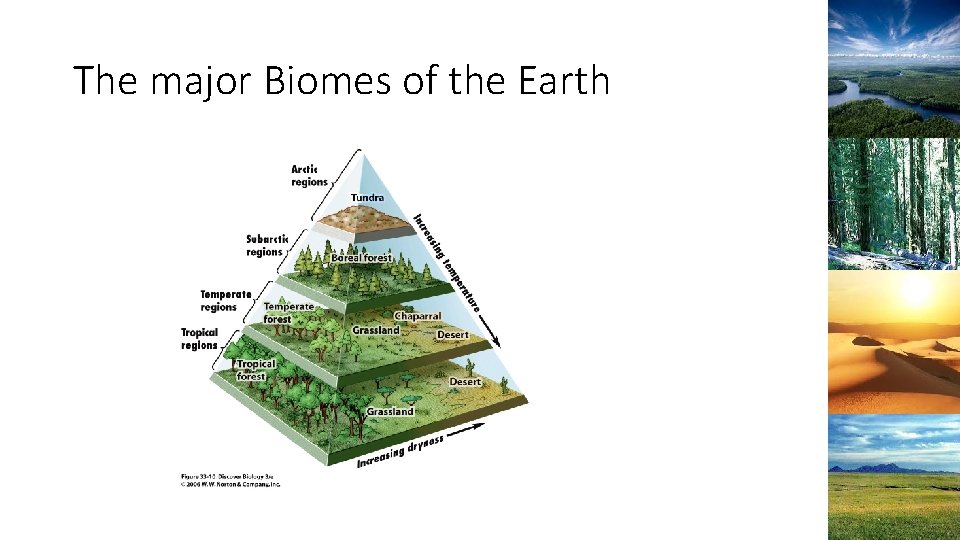 The major Biomes of the Earth 