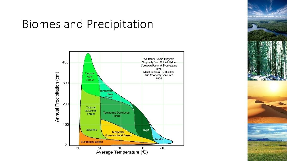 Biomes and Precipitation 
