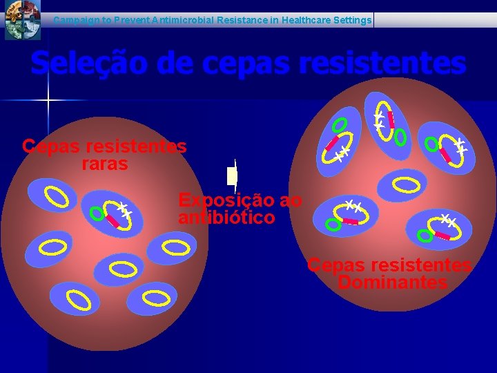 Campaign to Prevent Antimicrobial Resistance in Healthcare Settings xx Seleção de cepas resistentes xx