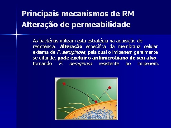 Principais mecanismos de RM Alteração de permeabilidade As bactérias utilizam esta estratégia na aquisição